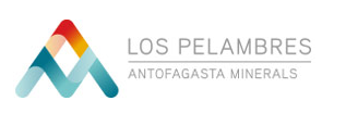 Pelambres